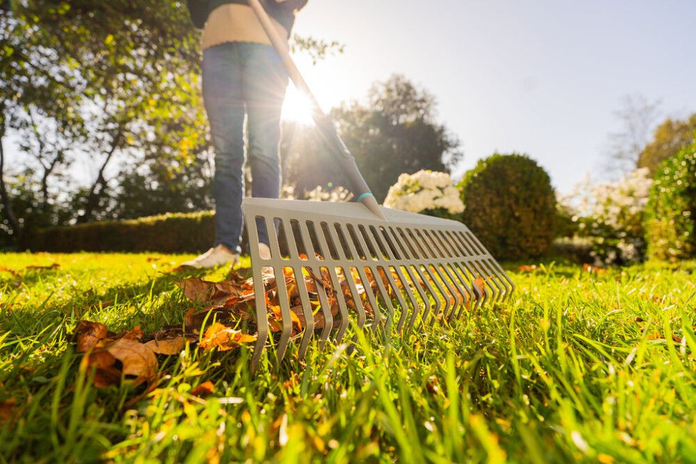 Lehtiharava Gardena PureLine