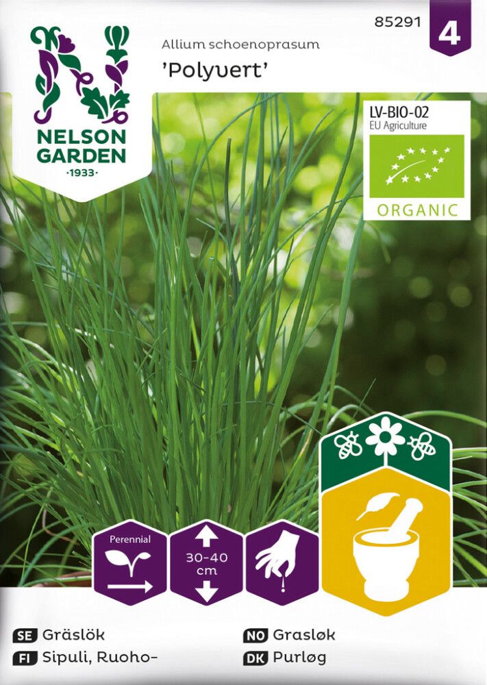 Ruohosipuli Polyvert