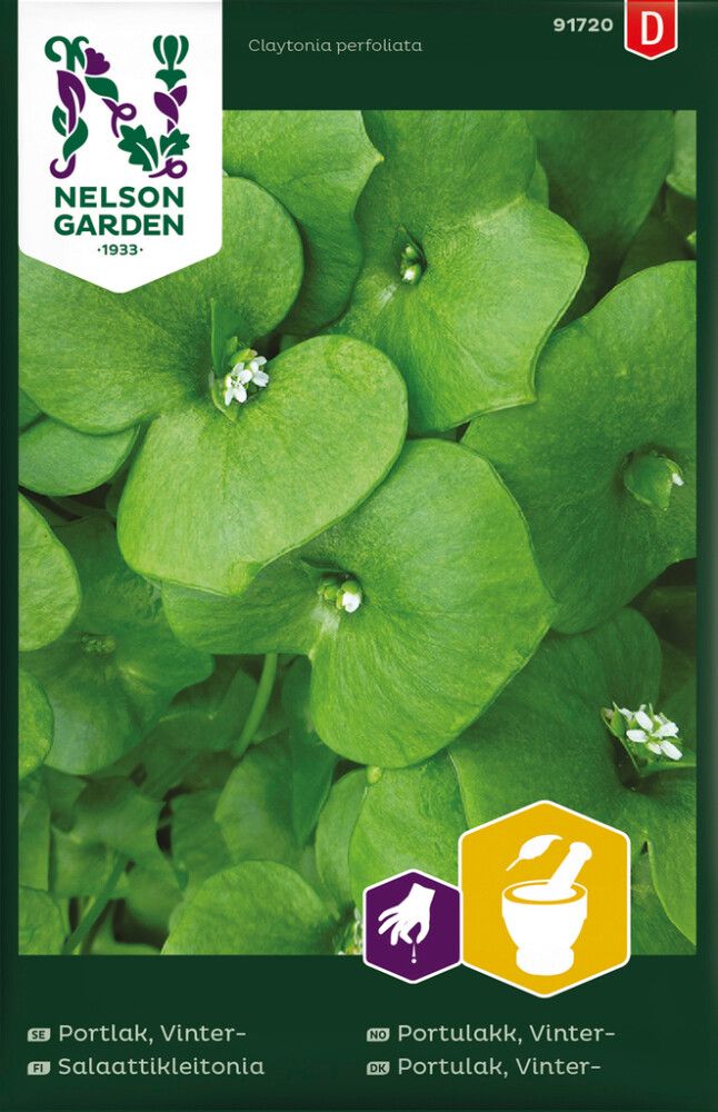 Salaattikleitonia Claytonia Perfoliata