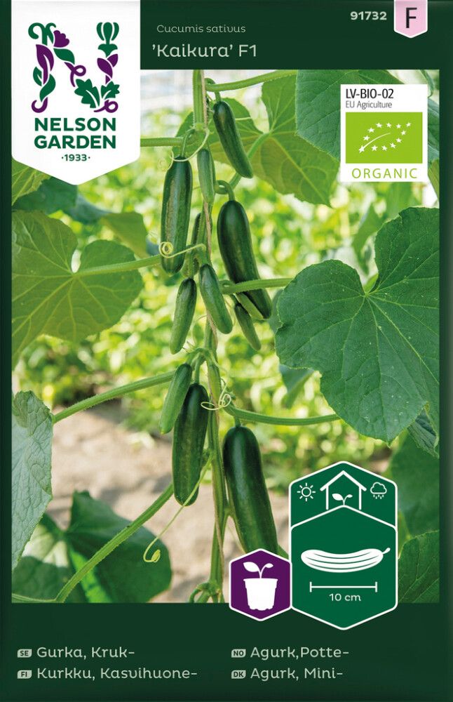 Kasvihuonekurkku Kaikura luomu