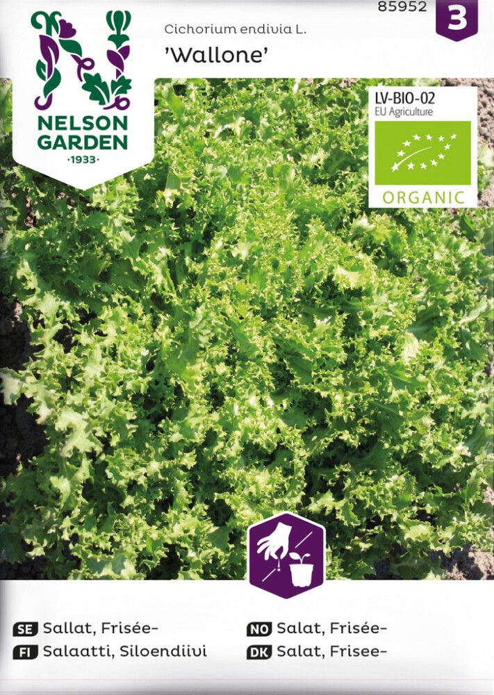 Salaatti Siloendiivi Wallone