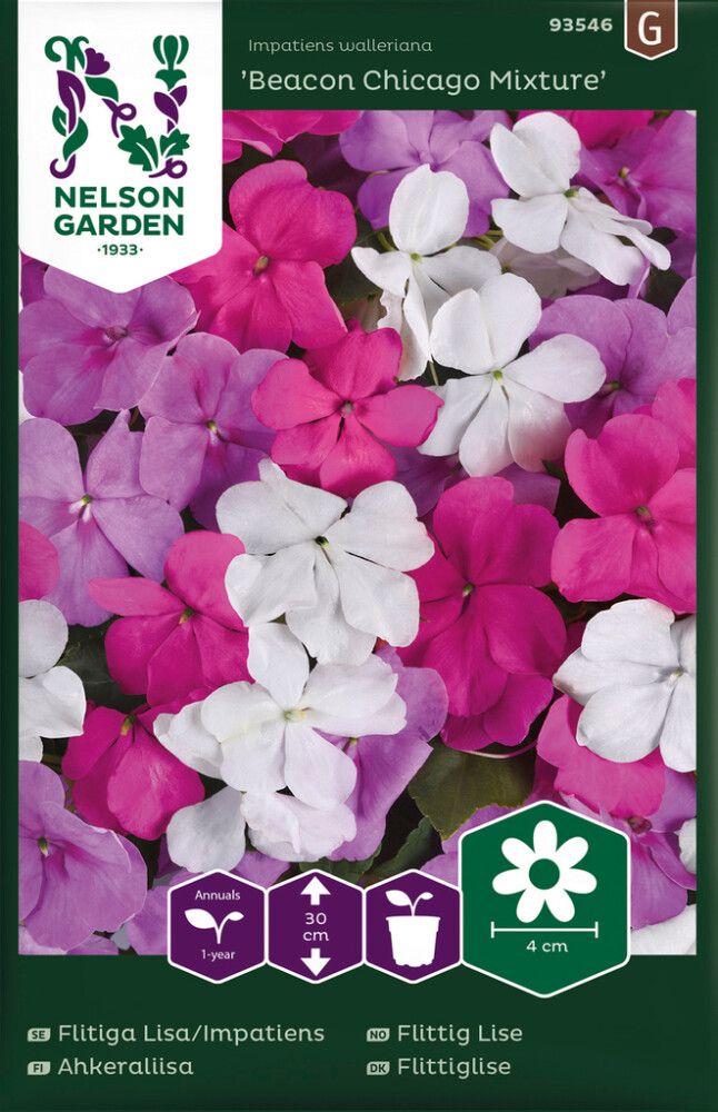 Ahkeraliisa Beacon Chicago Mixture