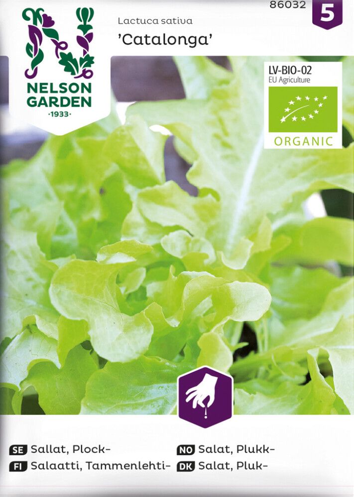 Tammenlehtisalaatti Catalonga