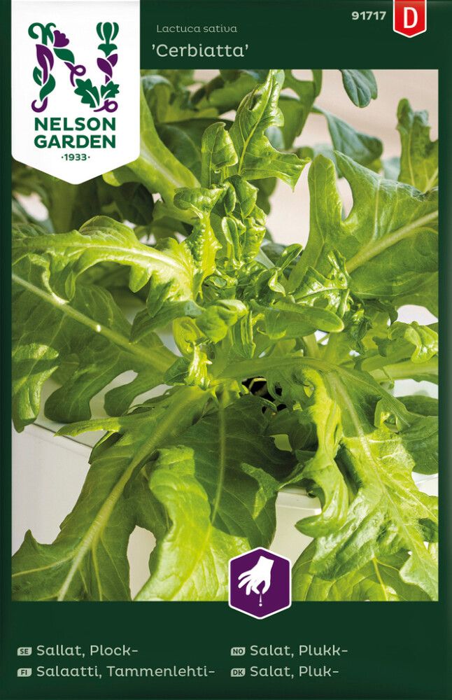 Tammenlehtisalaatti Cerbiatta