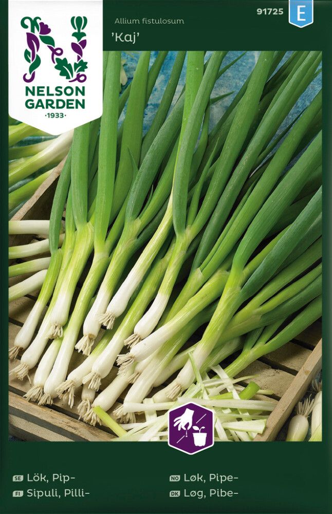 Pillisipuli Allium Fistulosum Kaj