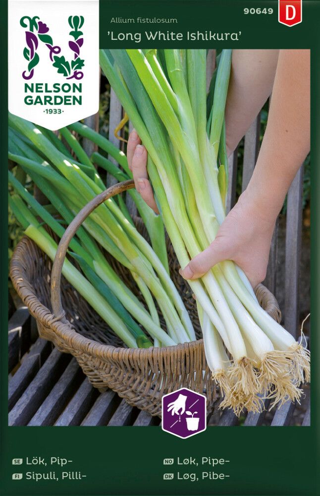 Pillisipuli Long White Ishikura