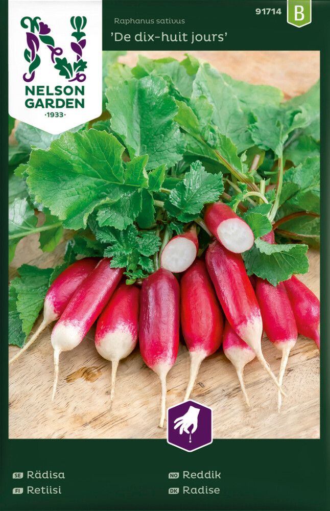 Retiisi De dix-huit jours