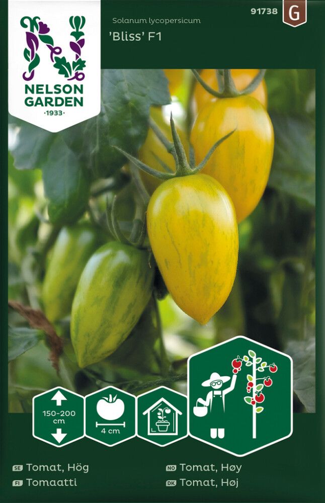 Kirsikkatomaatti Bliss