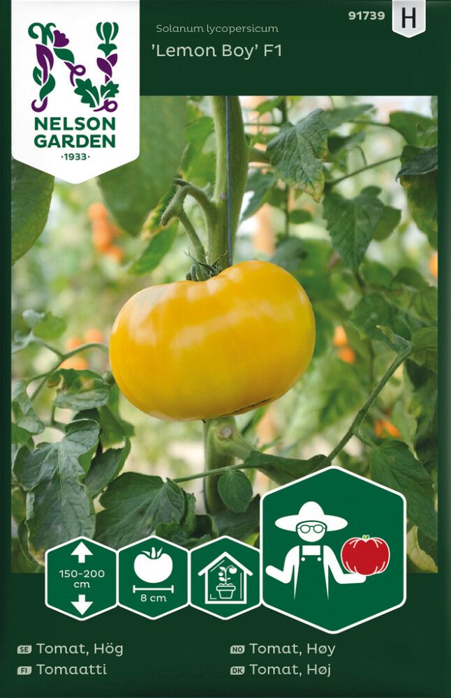 Pihvitomaatti Lemon Boy