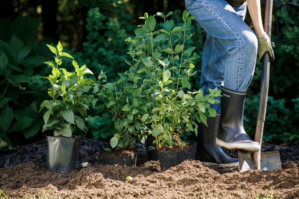 Puutarhamulta Kekkilä 40 l