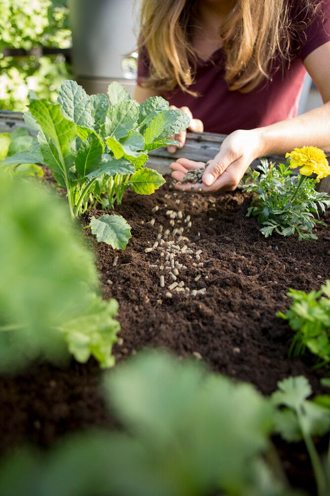 Puutarhan luonnonlannoite Kekkilä 10 l