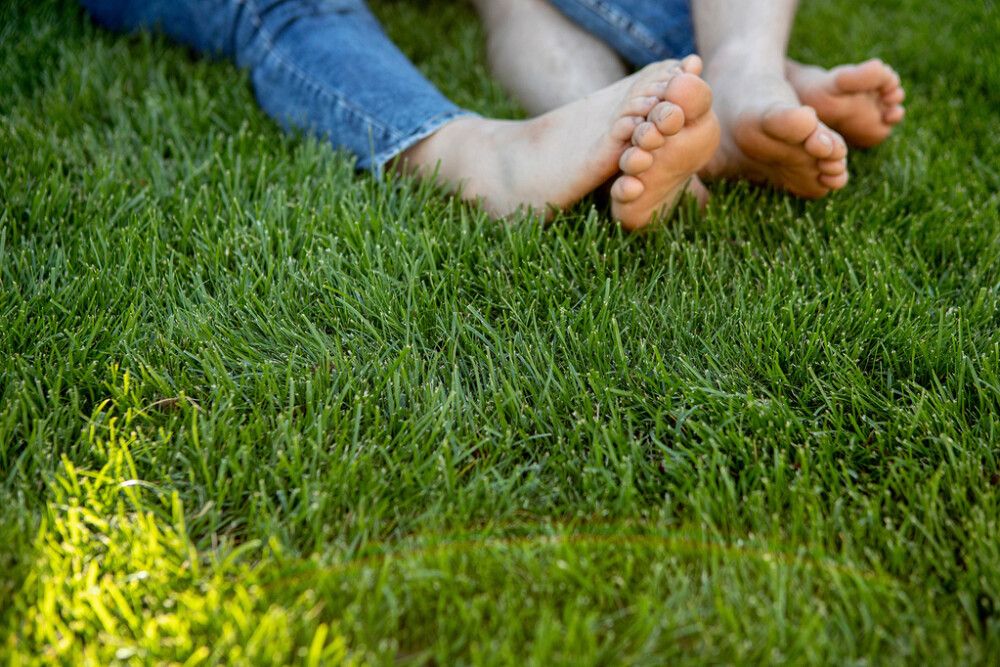 Nurmikko Booster Kekkilä 3 l