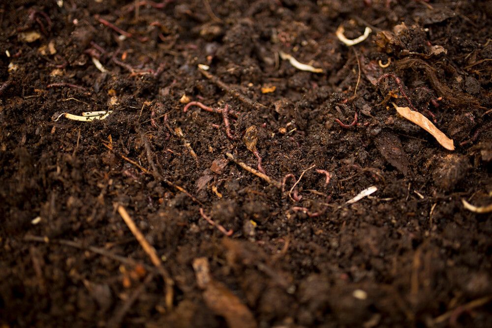 Komposti- ja huussikuivike Kekkilä Kierrätys 40 l