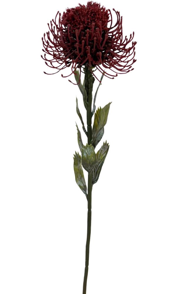 Pikkukuva 2