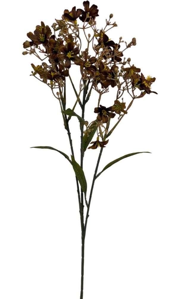 Pikkukuva 2