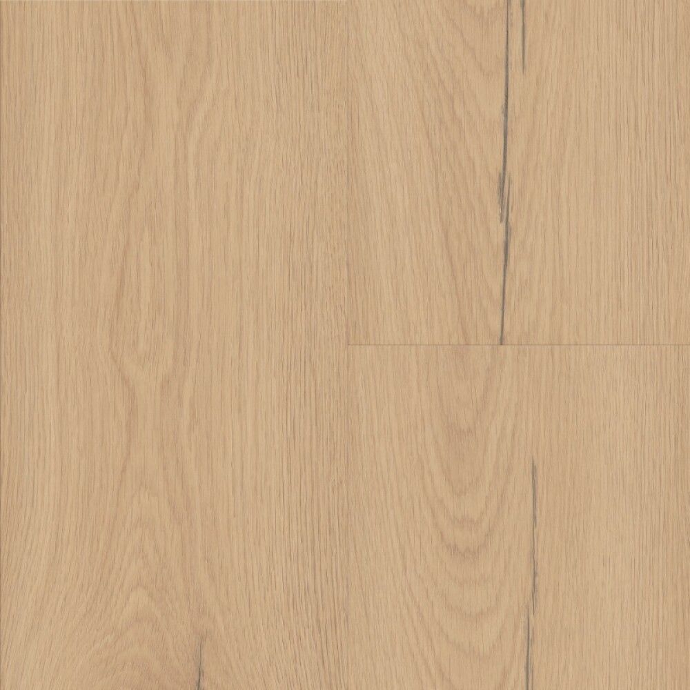 Mallipala Logoclic Silentos Tammi Forli