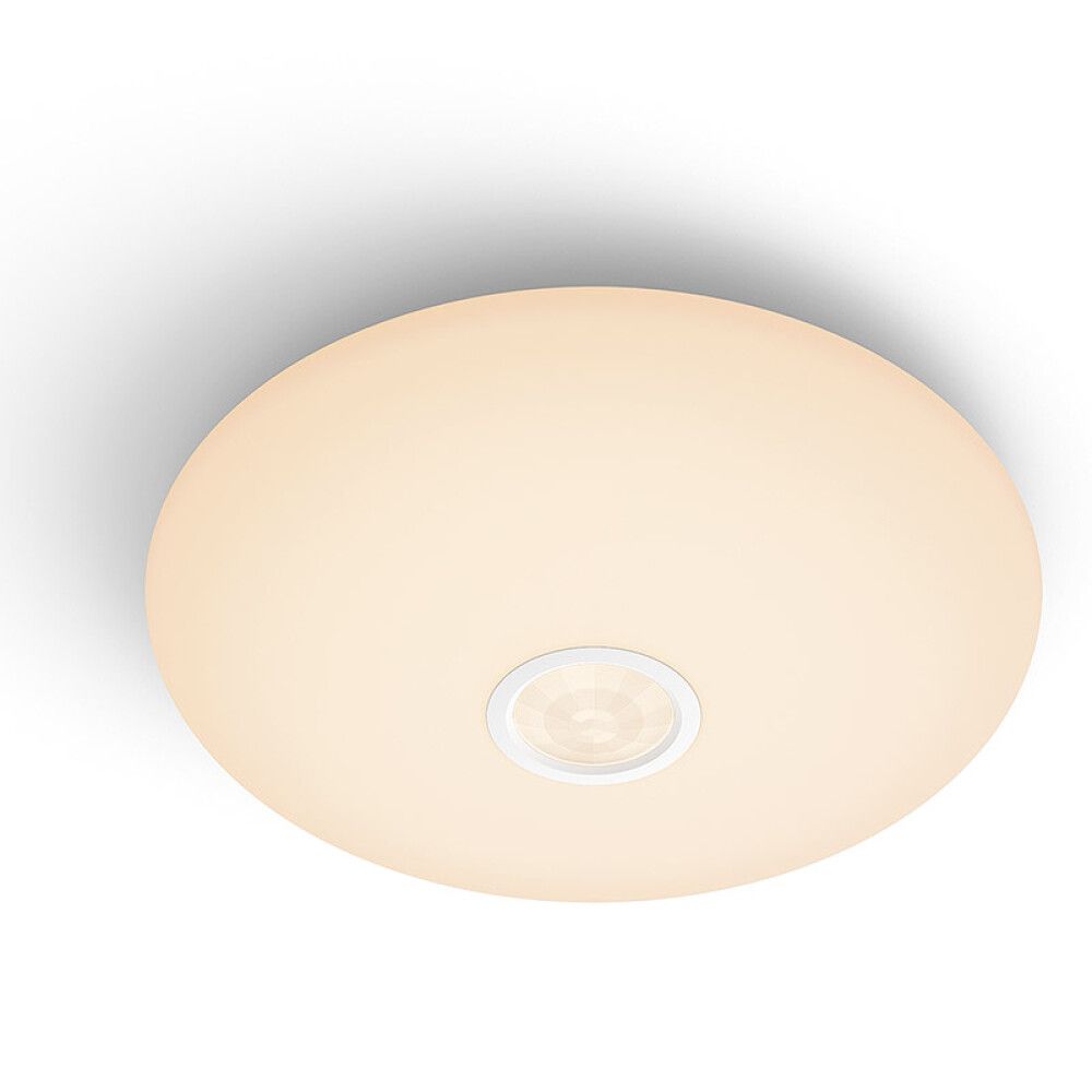 Philips Toiminnallinen kattovalaisin