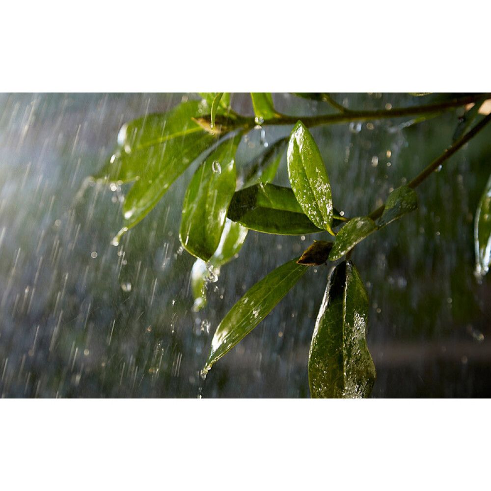 Jatkokaapeli Philips Hue 5 m