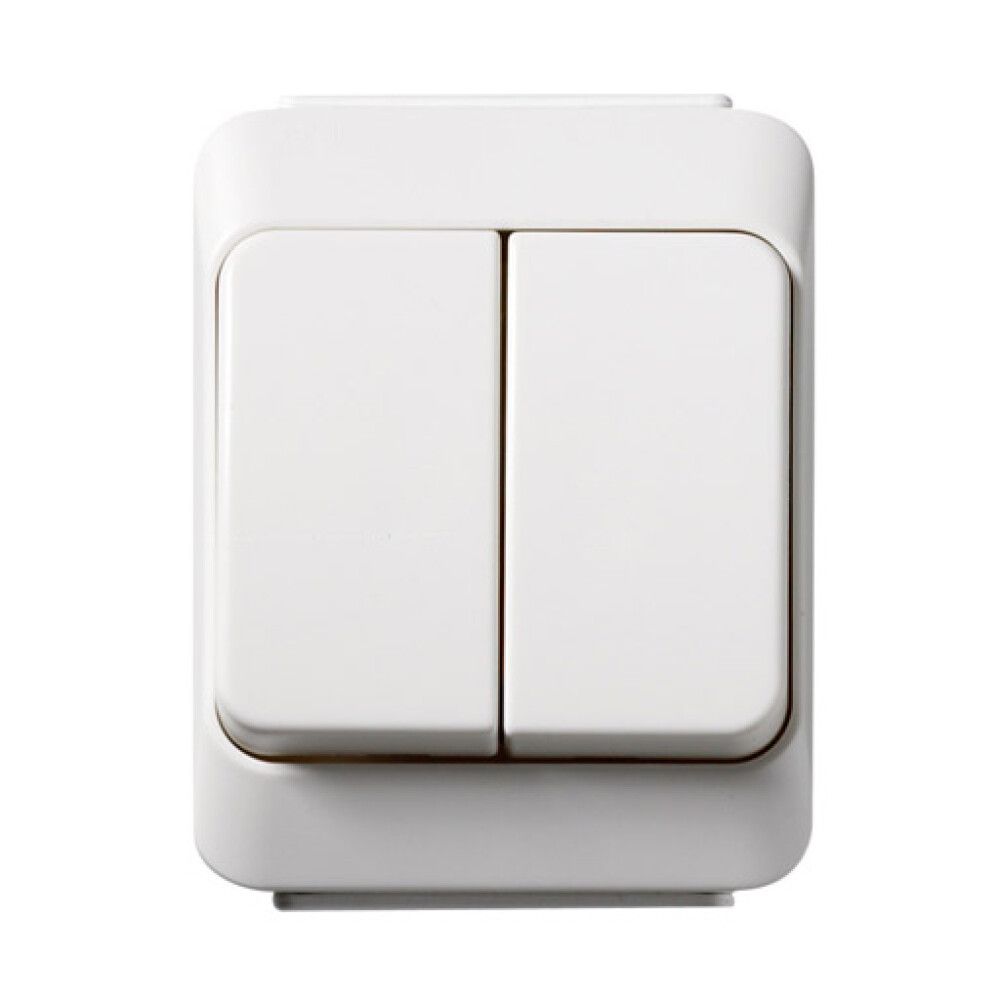 Kytkin Schneider Electric Artic Kruunu IP44 Valkoinen