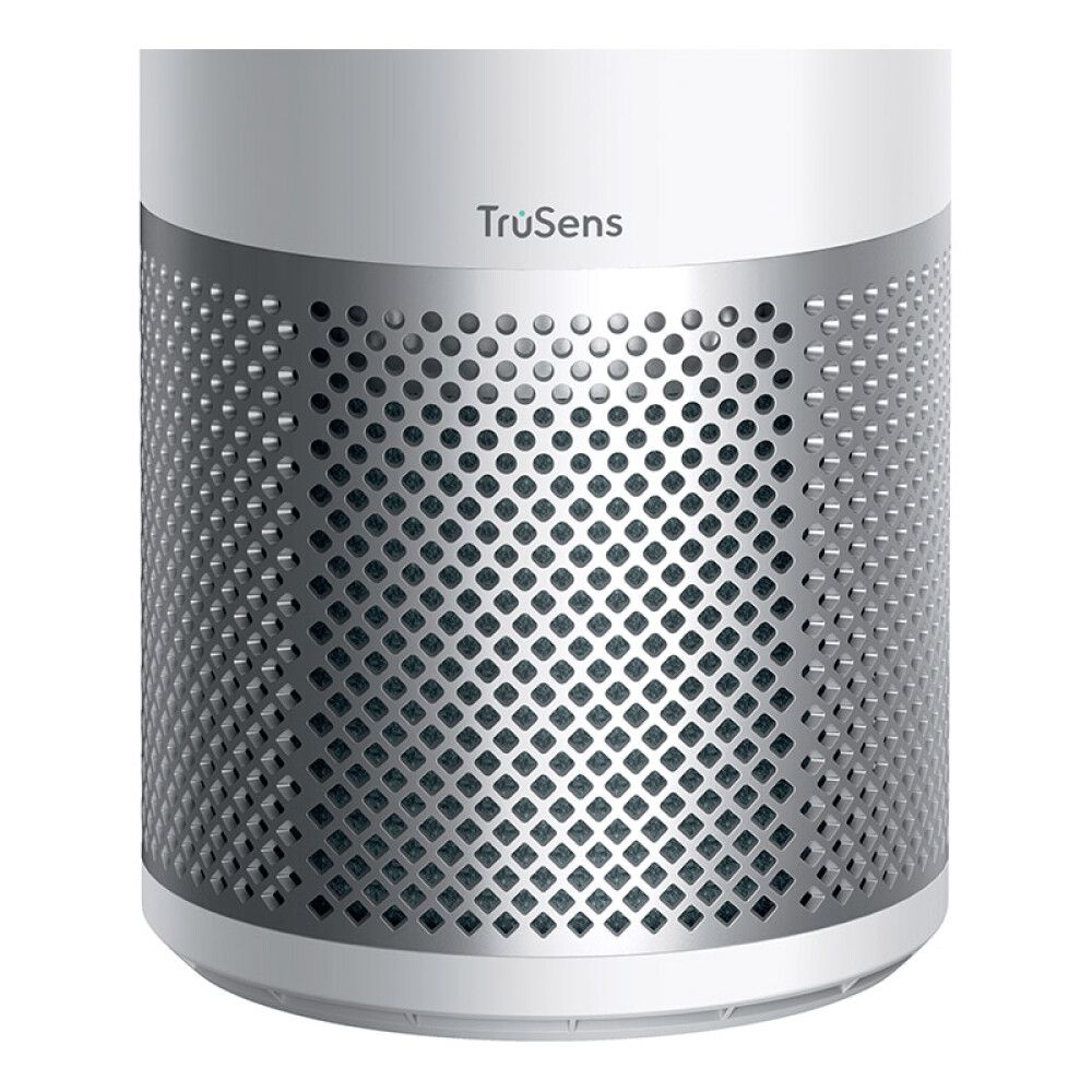 Ilmanpuhdistaja Large Z-3000