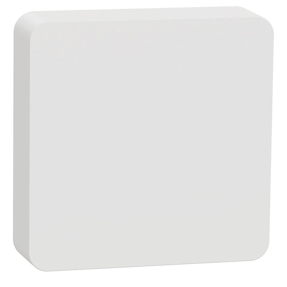 Lämpötila- ja kosteusmittari Schneider Electric langaton Wiser Zigbee