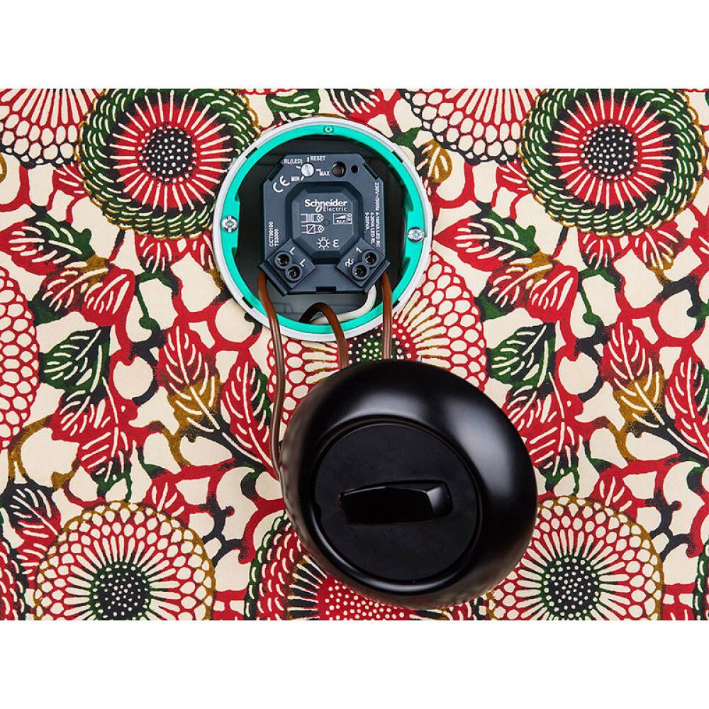 LED-valonsäädin  Schneider Electric 100 W