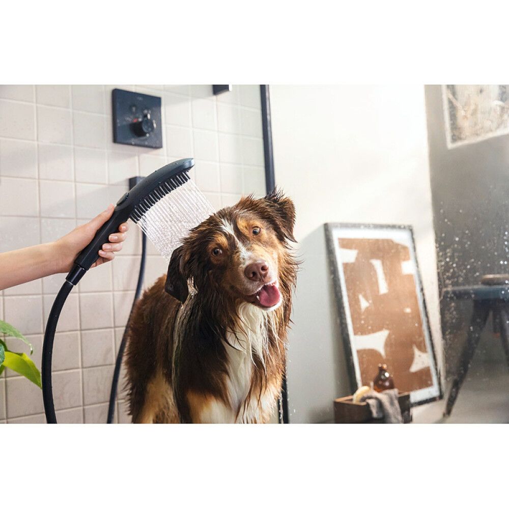 DogShower Hansgrohe Käsisuihku koiralle 150 3jet Select Mattamusta