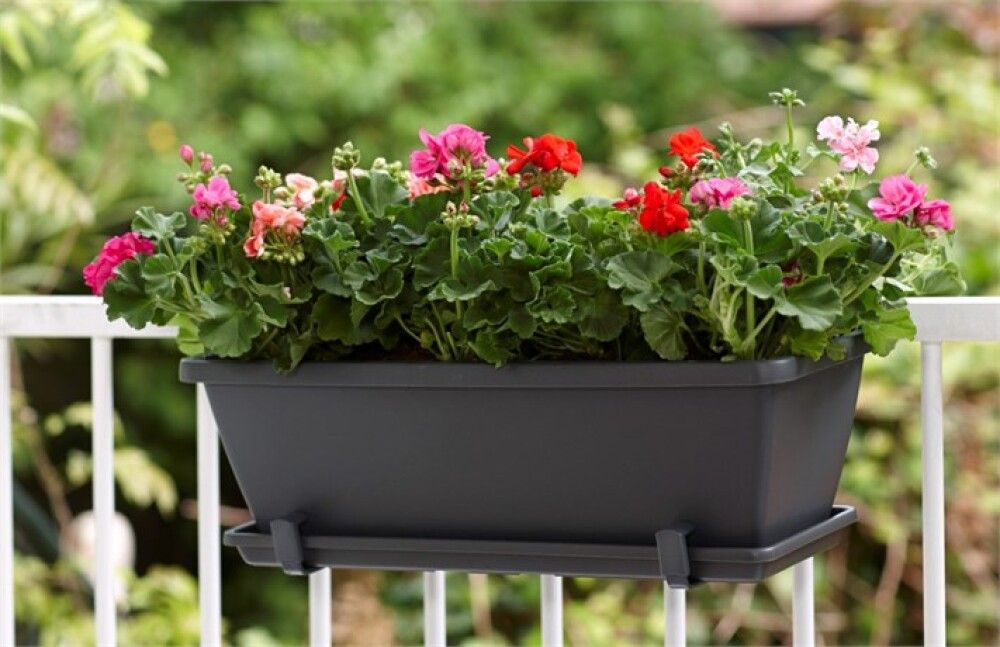 Parvekelaatikko Elho Barcelona 70 cm antrasiitti