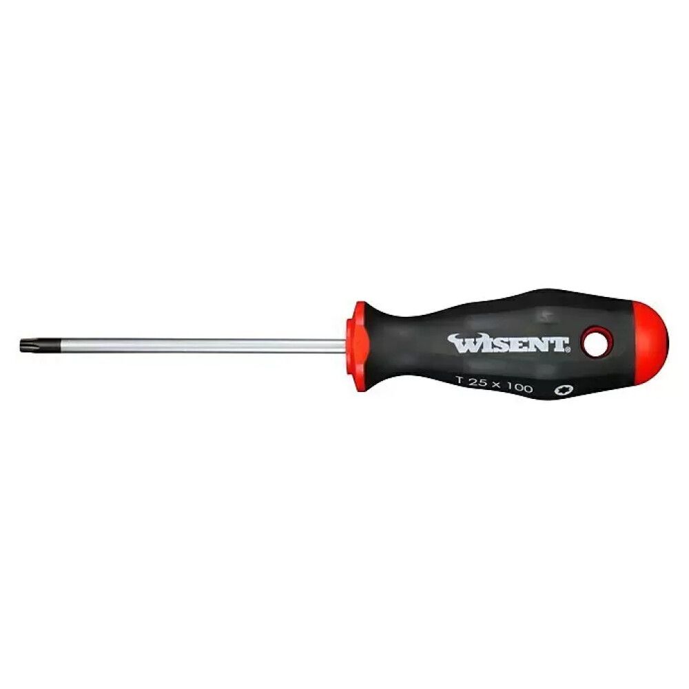 Ruuvimeisseli Wisent 508 T 25 x 100 mm