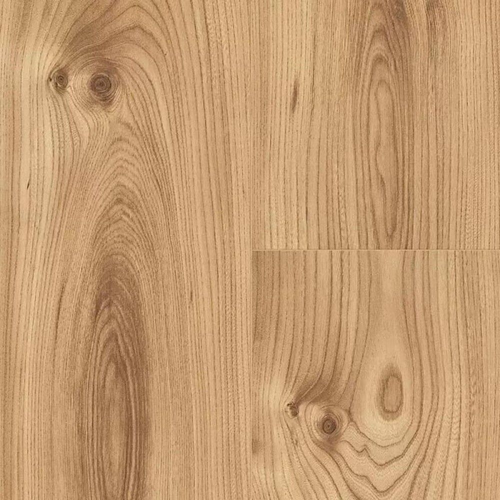 Laminaatti Logoclic Tammi