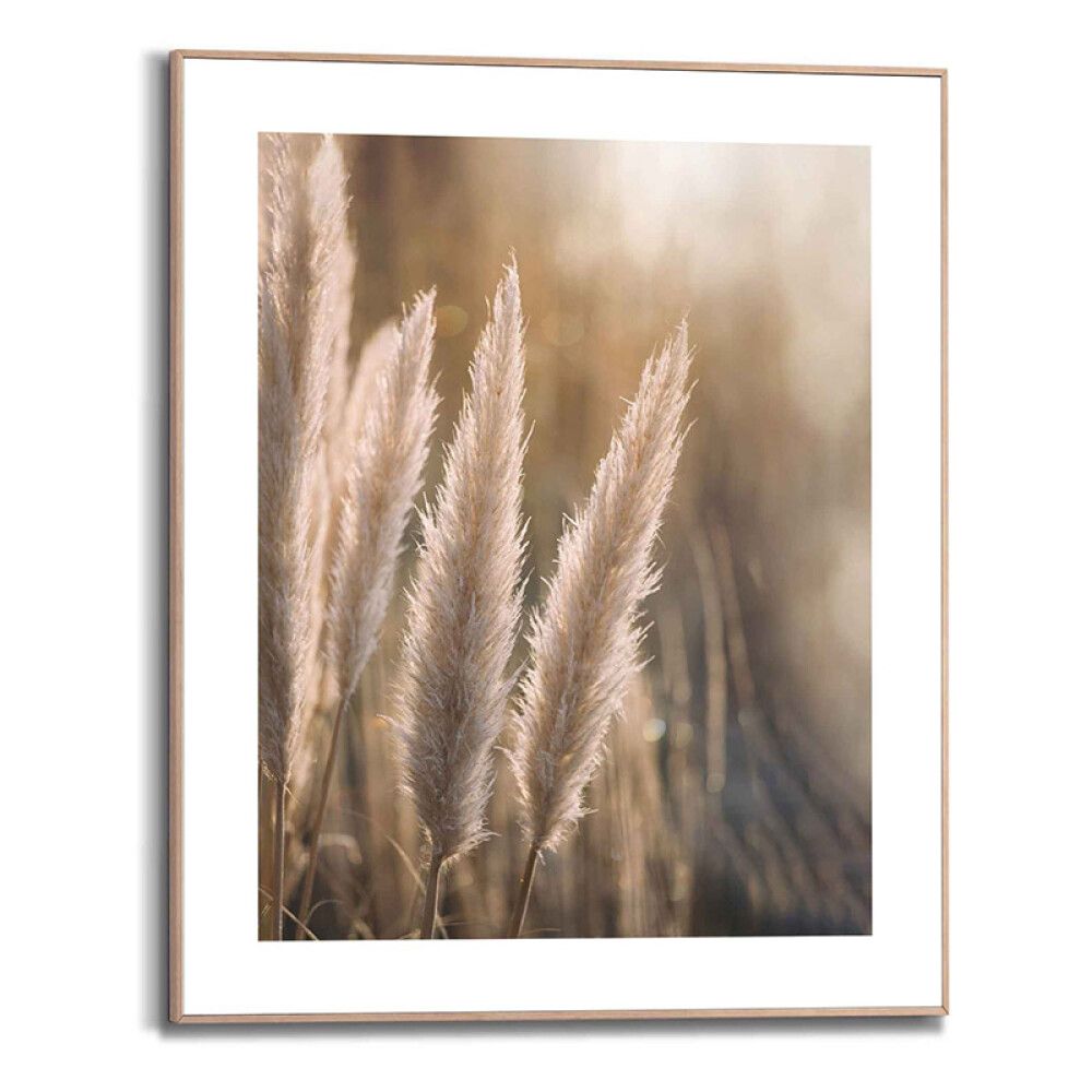 Sisustustaulu Reinders Sunset Grasses 40 x 50 cm