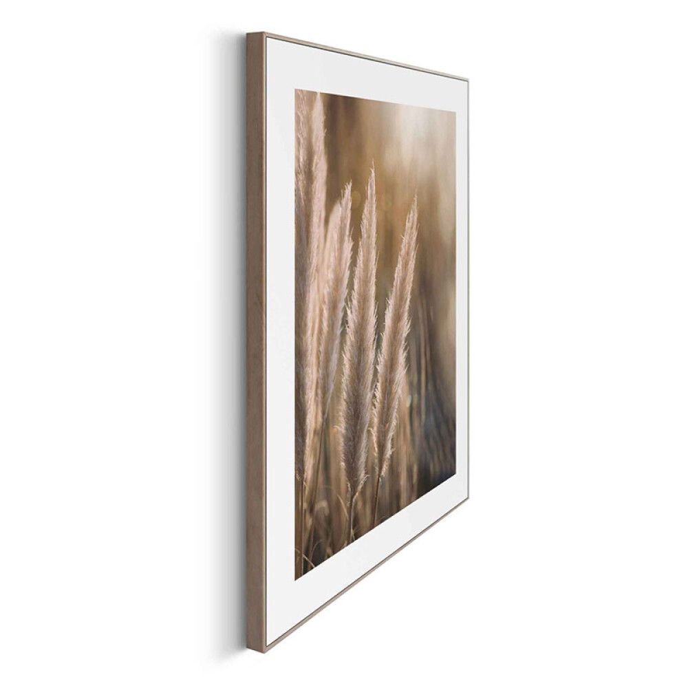 Sisustustaulu Reinders Sunset Grasses 40 x 50 cm
