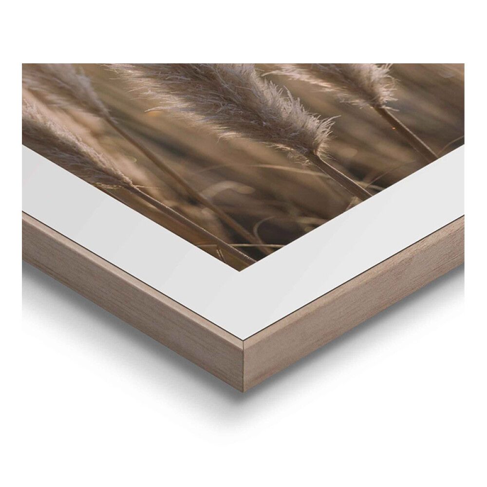 Sisustustaulu Reinders Sunset Grasses 40 x 50 cm