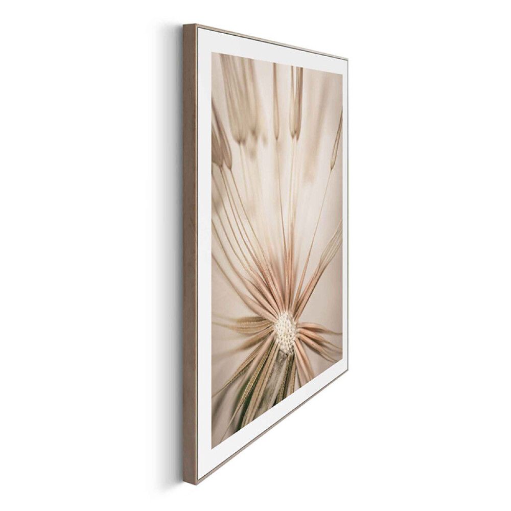 Sisustustaulu Reinders Dandelion Heart 40 x 50 cm