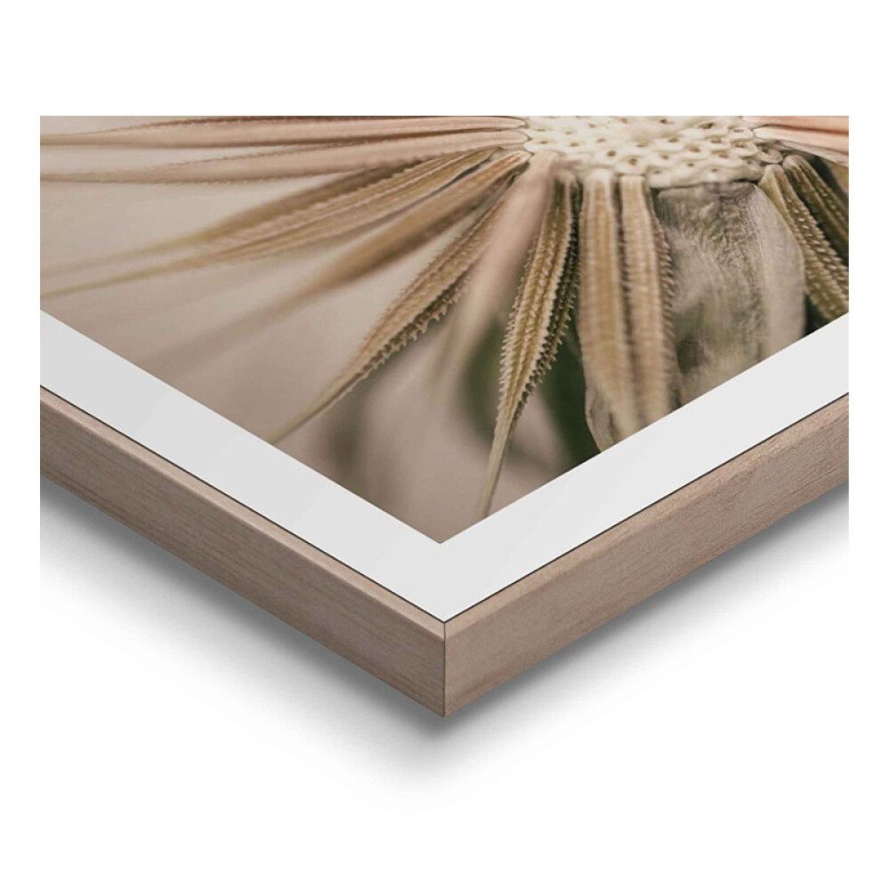 Sisustustaulu Reinders Dandelion Heart 40 x 50 cm