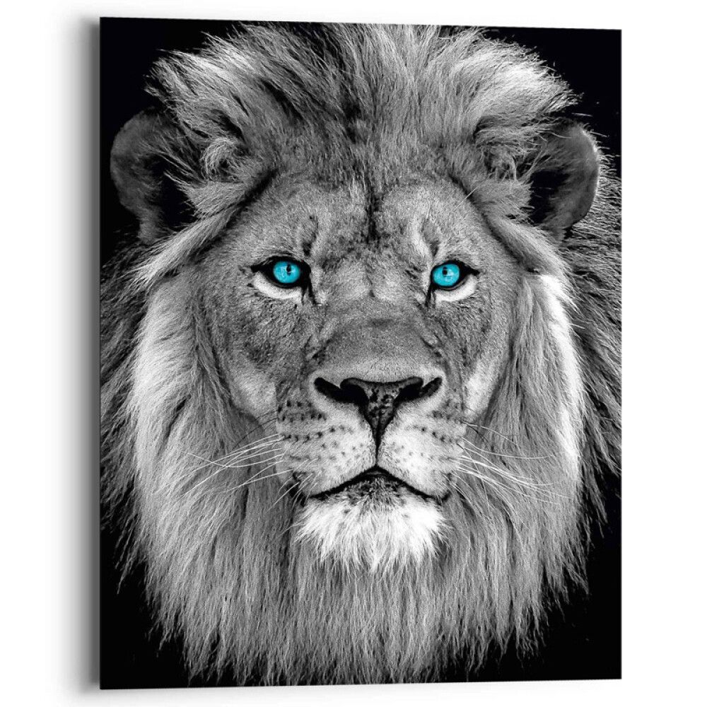 Sisustustaulu Reinders Blue Eyed Lion 40 x 50 cm