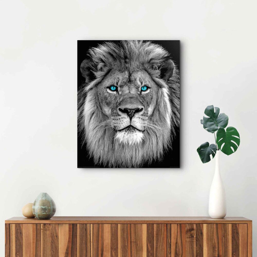Sisustustaulu Reinders Blue Eyed Lion 40 x 50 cm