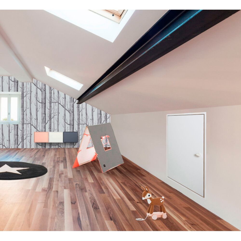 Seinäluukku Dolle clickFIX 56 Wall Hatch 565 x 1122 mm