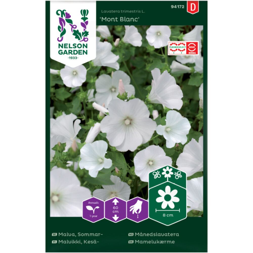 Kesämalvikki Nelson Garden Mont Blanc
