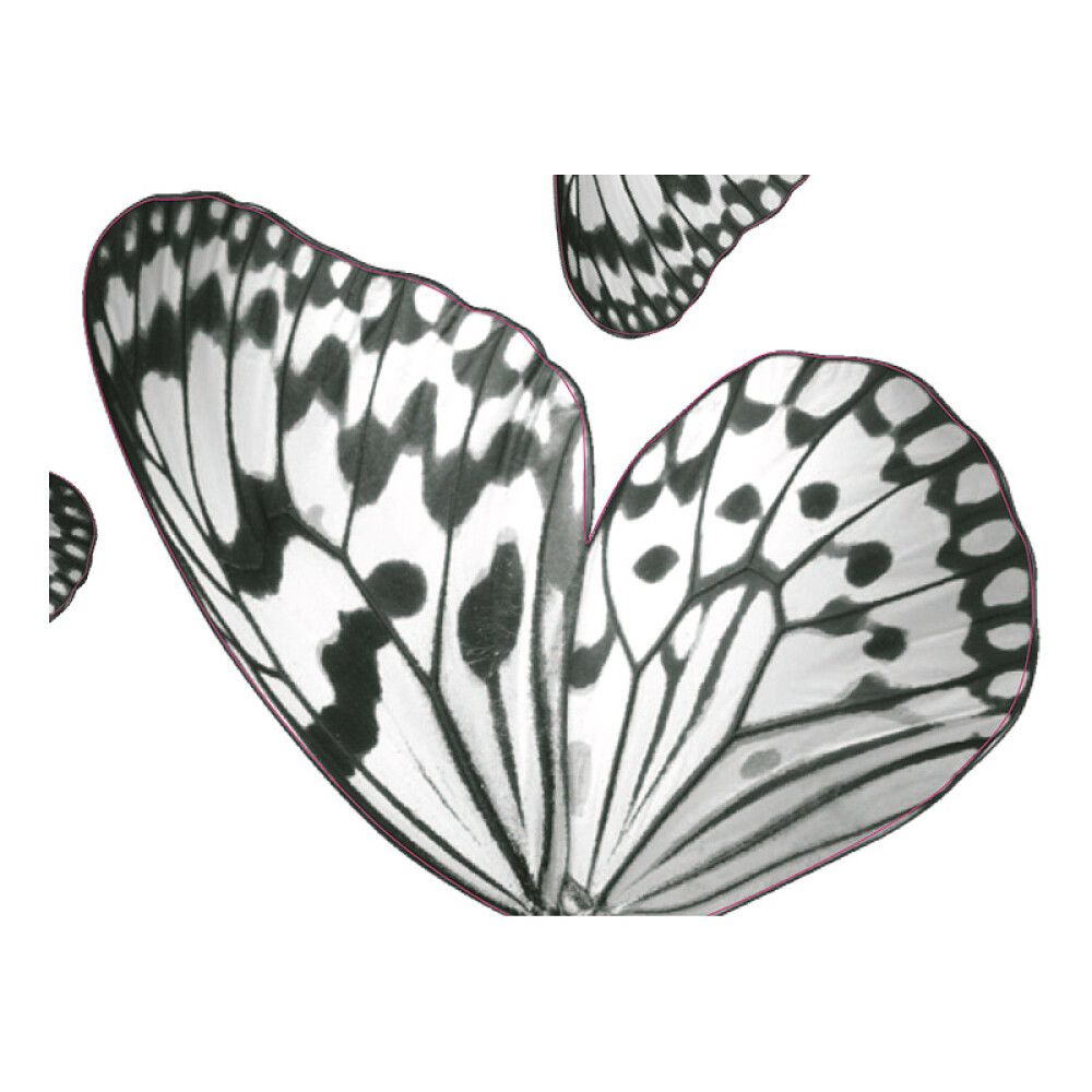 Seinätarra Plage 3D Perhoset