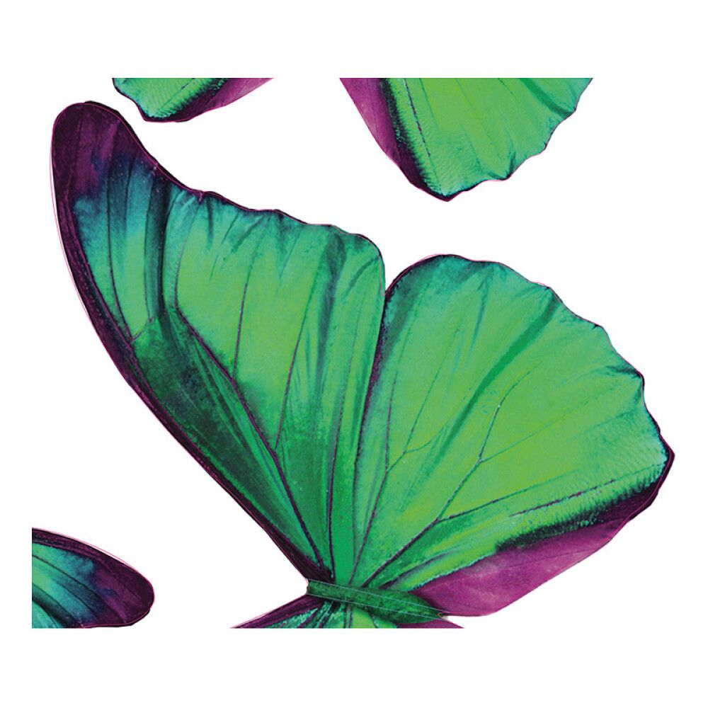 Seinätarra Plage 3D Vihreät Perhoset