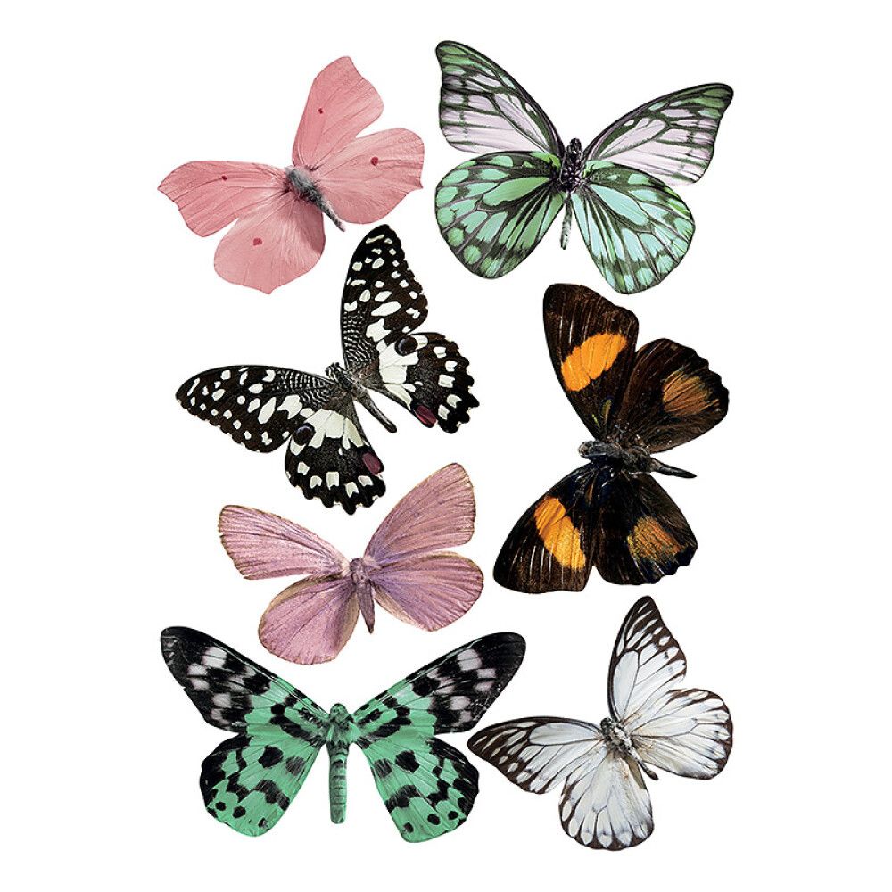 Seinätarra Plage 3D Kuultavat Perhoset