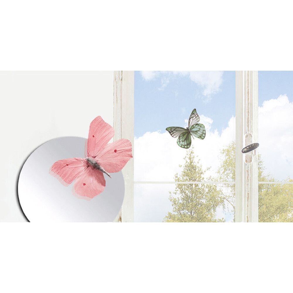 Seinätarra Plage 3D Kuultavat Perhoset