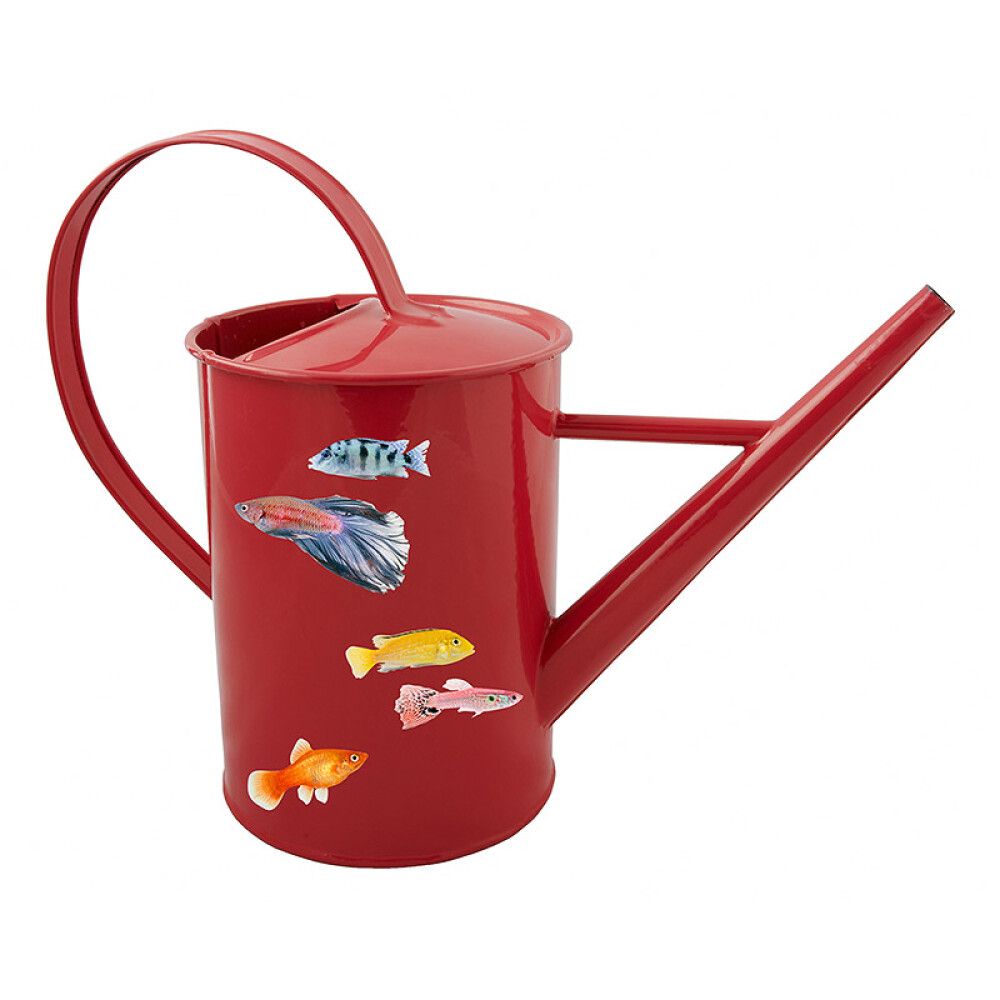 Seinätarra Plage XXS Tropiikki