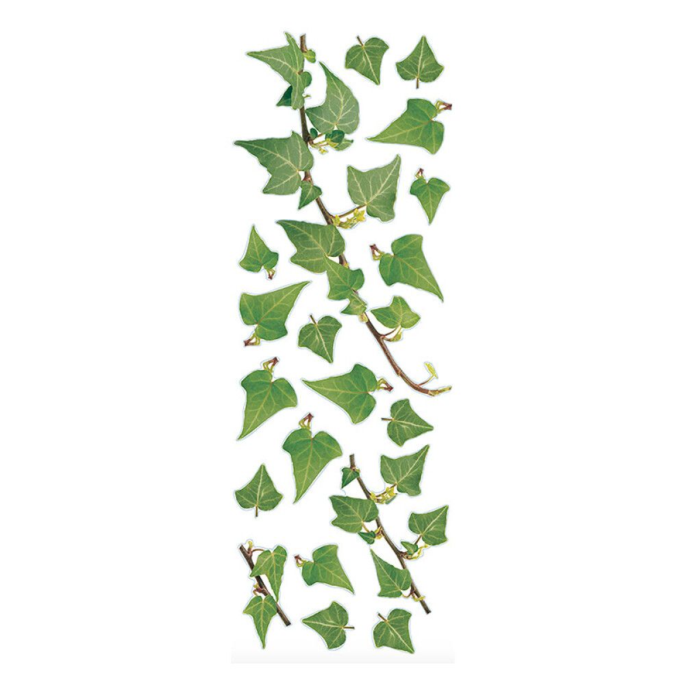 Julistetarra Plage Ivy 24 x 68 cm