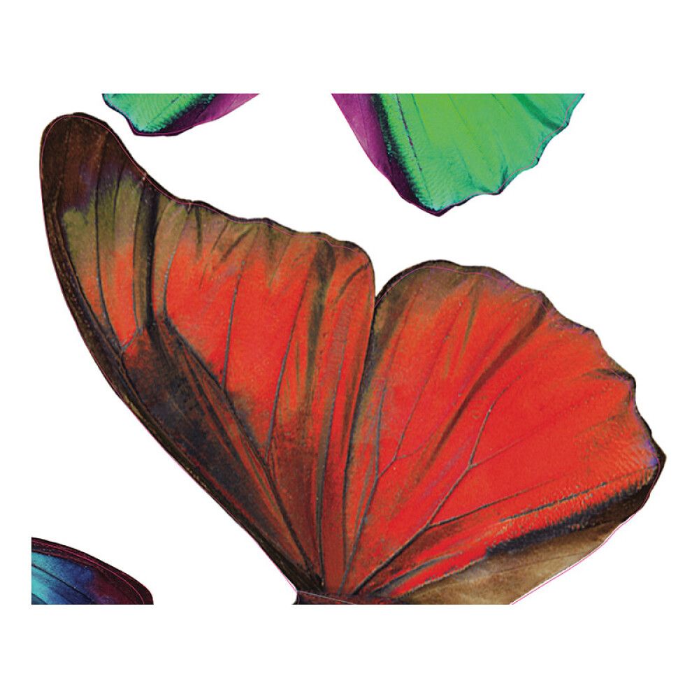 Seinätarra Plage 3D Värikkäät Perhoset