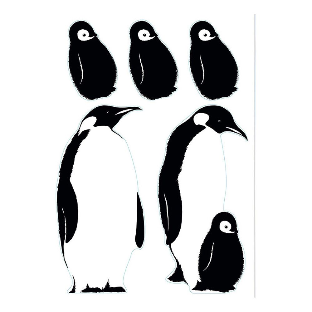 Julistetarra Plage Antarctic