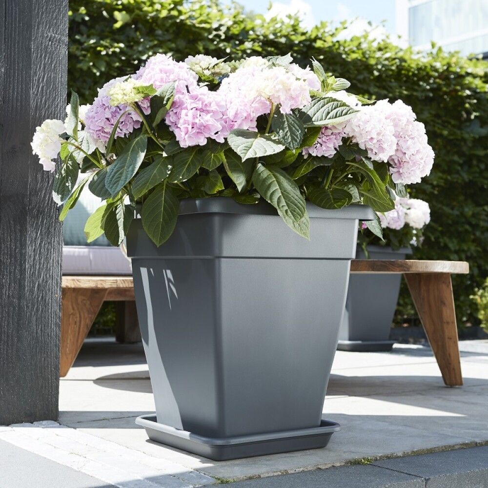 Aluslautanen Elho Universal antrasiitti 20 x 20 cm