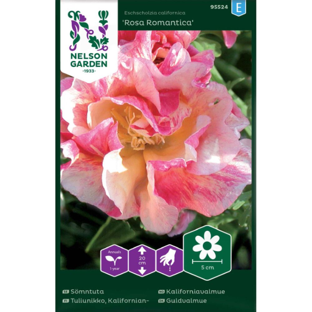 Kaliforniantuliunikko Nelson Garden Rosa Romantica