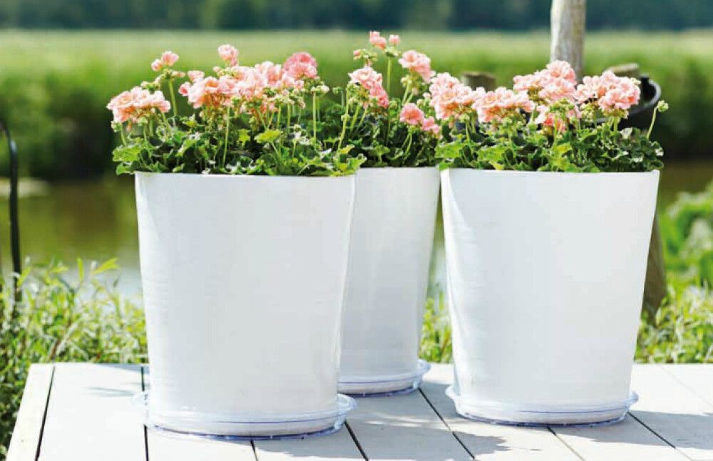 Aluslautanen Elho Pyöreä Kirkas 37 cm